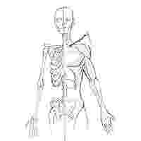 해부학을 꼭 배워야 할까?