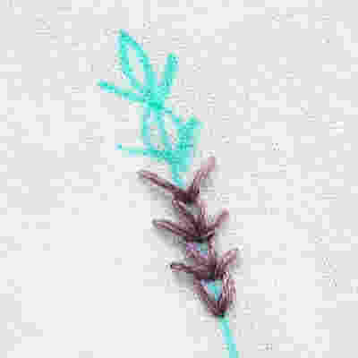 휘티어 스티치[Wheatear Stitch]